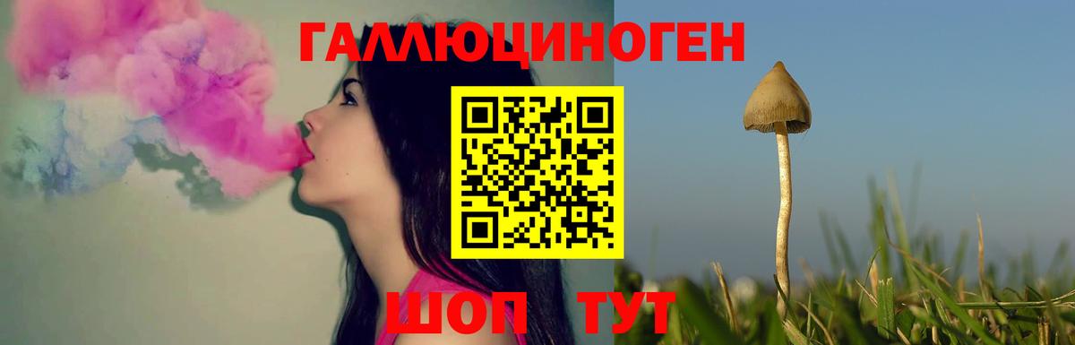 Псилоцибиновые грибы мицелий Серов